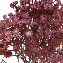 Artikel Gypsophila Gypsophila Gypsophila kunstpaars 35cm 5 st