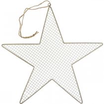 Artikel Metalen Ster Mesh Deco Ster Metal Deco Goud Ø57cm