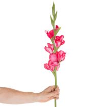 Artikel Kunstmatige gladiolen met decoratieve bloemen, 88 cm