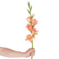 Artikel Kunstmatige gladiolen met veel bloemen voor een boeket, 88 cm