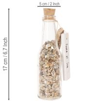 Artikel Glazen flesdecoratie met schelpen en hanger, maritieme tafeldecoratie, 17 cm, 2 stuks