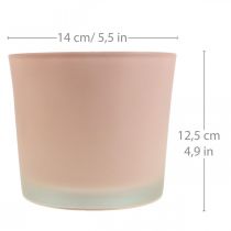 Artikel Bloempot glazen plantenbak roze glazen kuip Ø14.5cm H12.5cm