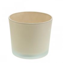 Artikel Glazen bloempot beige plantenbak Glazen plantenbak Ø14.5cm H12.5cm