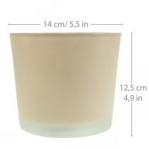 Artikel Glazen bloempot beige plantenbak glazen pot Ø14,5cm H12,5cm