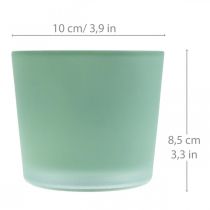 Glazen bloempot groene plantenbak glazen kuip Ø10cm H8.5cm