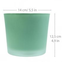 Glazen bloempot groene plantenbak glazen kuip Ø14.5cm H12.5cm