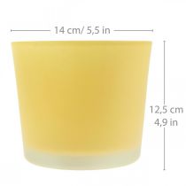 Artikel Glazen bloempot gele plantenpot glazen kuip Ø14.5cm H12.5cm