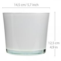 Artikel Glazen bloempot witte plantenbak glazen kuip Ø14.5cm H12.5cm