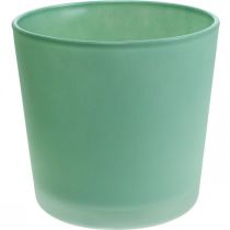Glazen bloempot groene plantenbak glazen kuip Ø11.5cm H11cm