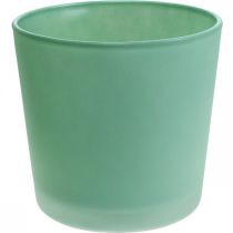 Artikel Glazen bloempot groene plantenbak glazen kuip Ø11.5cm H11cm