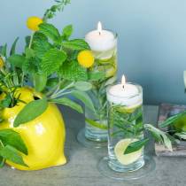 Artikel Glazen vaas met voet, transparant, Ø6cm, H25cm