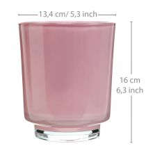 Orchidee plantenbak glas roze H16cm Ø13.4cm