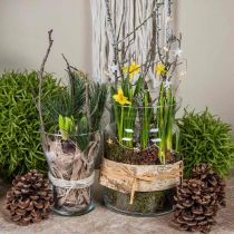 Glazen vaas heldere decoratieve vaas glazen lantaarn bloemenvaas Ø18cm H25cm