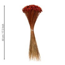 Artikel Boeket gedroogde bloemen, een charmante toevoeging aan vazen of bloemstukken, 44 cm