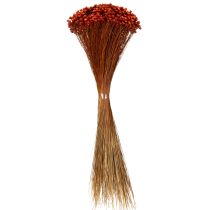 Artikel Boeket gedroogde bloemen, een charmante toevoeging aan vazen of bloemstukken, 44 cm