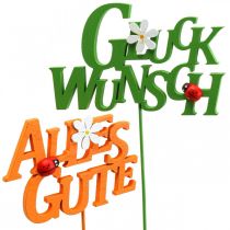 Gefeliciteerd bloempluggen plantpluggen hout 8cm 6st