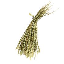 Artikel Gouden rank natuur 50 st