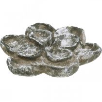 Grafdecoratie, betondecoratie, tuindecoratie, betonroos Ø21cm