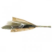 Artikel Gedroogde grassen in een bos Droogfloristiek Droogboeket H70cm