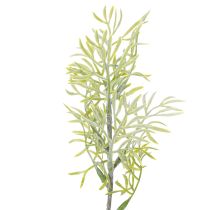 Artikel Sierlijke aspergetak, een natuurlijke aanvulling op bloemenboeketten, 34 cm, 7 stuks