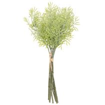 Artikel Sierlijke aspergetak, een natuurlijke aanvulling op bloemenboeketten, 34 cm, 7 stuks