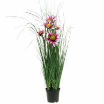 Artikel Gras met Echinacea kunstmatig in een pot roze 63cm