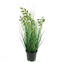 Artikel Quaking Grass Kunstgras Kunstpotplant 36cm