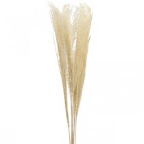 Gedroogd Deco Gras Natuurlijk siergras droogdecoratie 6 stengels