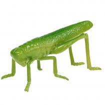 Artikel Sprinkhaan groen 11cm 1 stuk