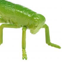 Artikel Sprinkhaan groen 11cm 1 stuk