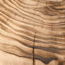 Artikel Grote houten paddestoel decoratieve paddestoel hout Paulownia Ø21cm H33cm