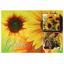 Waardebon zonnebloem met envelop 5st