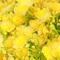 Artikel Gypsophila pluimgipskruid gele bloemen L46cm 4 st