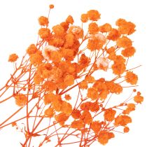 Artikel Boeket gedroogde gipskruidbloemen (Gypsophila) 75 cm 100 g