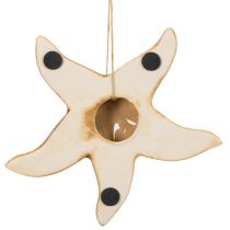 Artikel Keramische zeesterdecoratie om op te hangen, voor een maritieme sfeer, zomerdecoratie voor in huis, 12 cm, 2 stuks
