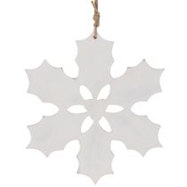 Artikel Hulstornament, kerstversiering om op te hangen, 26 cm