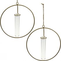 Sierring om reageerbuis op te hangen goudkleurig metaal Ø16cm 4st