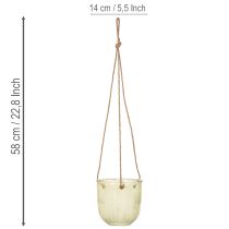 Artikel Hangende glazen pot, decoratieve glazen pot, retrostijl, groen/bruin, 14,5 cm, 2 stuks