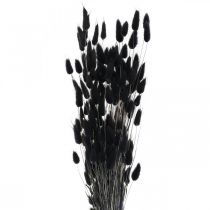 Artikel Hazenstaartgras Lagurus Gedroogd Zwart 60cm 50g