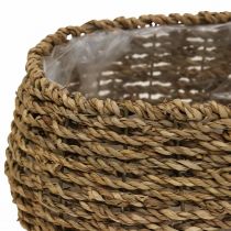 Artikel Plantenmand met handvat mand bloemenmand L23/35cm set van 2