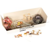 Artikel Herfstdecoratieset egel paddenstoelen draak – koop decoratiebox goedkoop