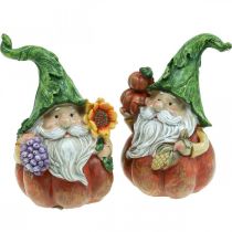 Herfst kabouter pompoen decoratie kabouter figuur assorti H11.5cm 2st