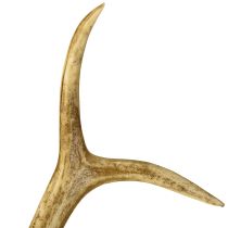 Artikel Hertengewei decoratie kunstgewei tafeldecoratie 28×14cm