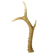 Artikel Hertengewei decoratie kunstgewei tafeldecoratie 28×14cm