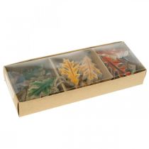 Artikel Decoratief bladerenhout om kleurrijke herfstdecoratie op te hangen 6.5×4cm 12st