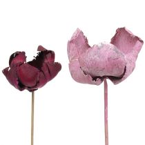 Artikel Houten bloem, palmbeker mix roze-erika 25 st