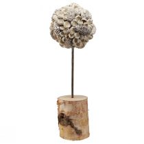 Artikel Houten decoratieboom winterdecoratie berk eikels kegels wit H40cm