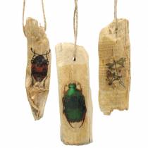 Decoratief hangend insectenhout 9-13cm 36st