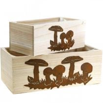 Plantenbak set, houten kisten met paddenstoelen, herfstdecoratie, RVS L40/30cm, set van 2