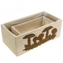 Artikel Plantenbakset, houten bakken met paddenstoelen, herfstdecoratie patina L40/30cm set van 2